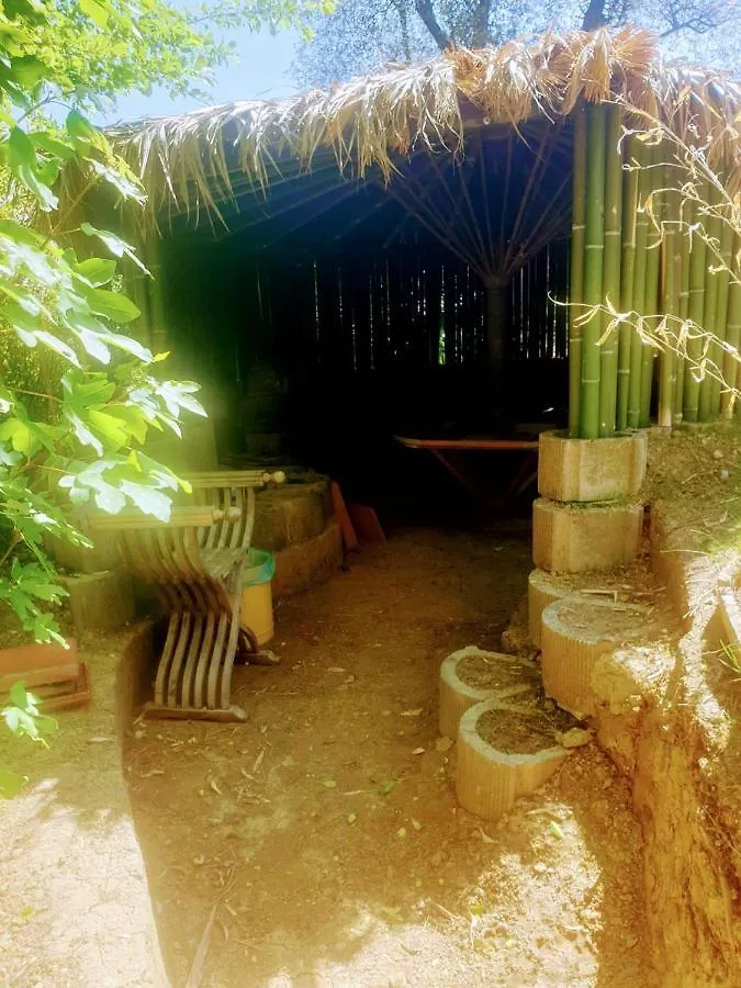 Ca' Dei Gelsi B&B Coriano Frühstückspension
