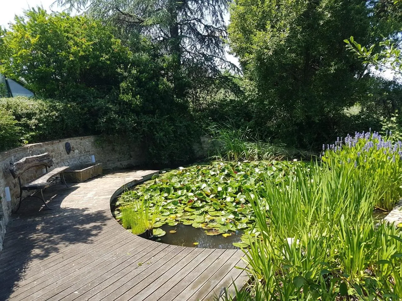 Ca' Dei Gelsi B & B Coriano Italien